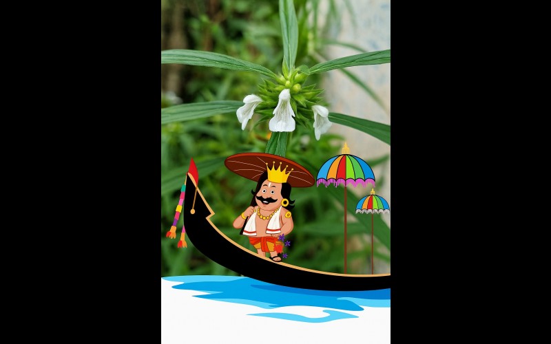 nctv image