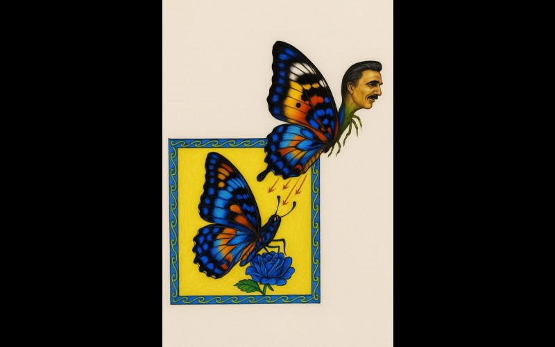 nctv image